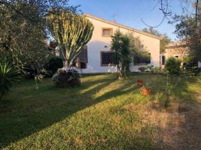 Olive tree villa Augusta